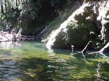 Whakatikei River