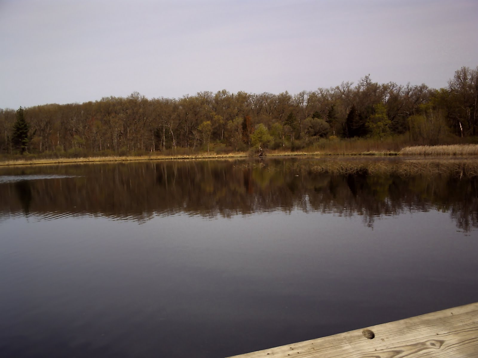 The QuestHiking the North Country Trail Hall Lake