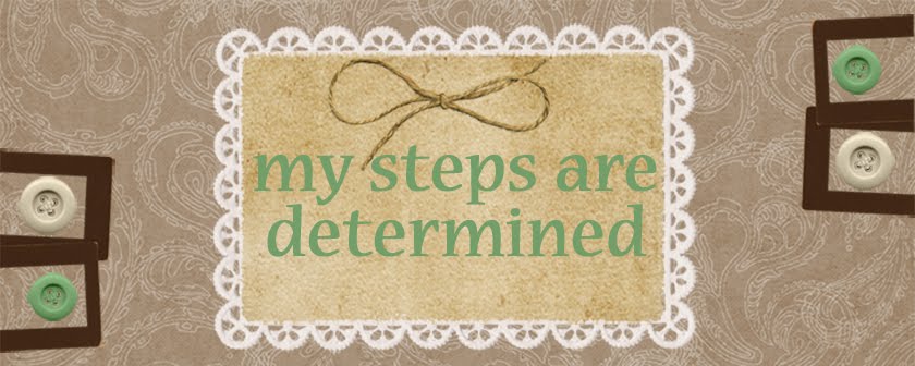 My Steps are Determined  Proverbs 16:9