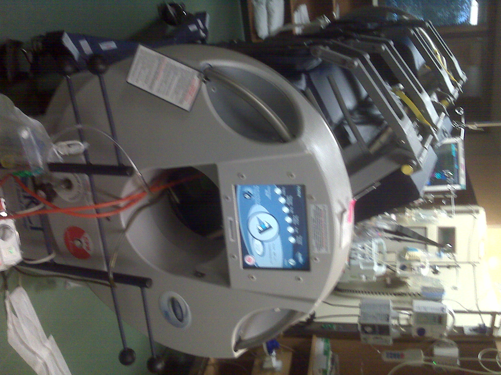 Girl with the Flower Slipping Away