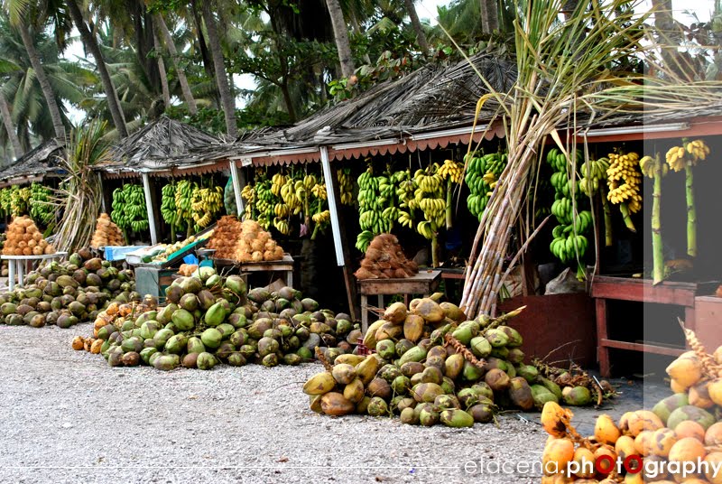 Salalah Salalah Fruit Stands and Coconut Plantations