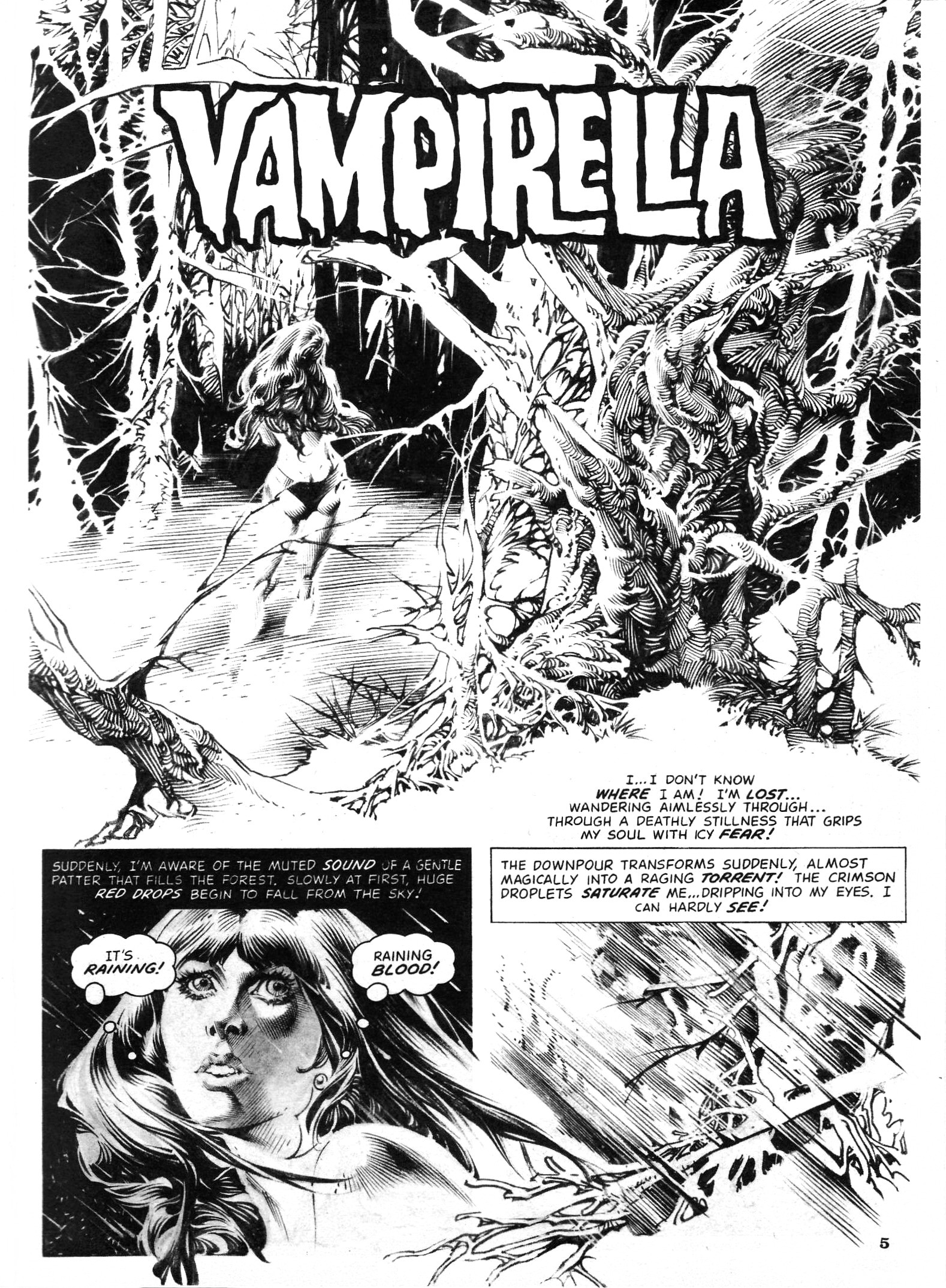 Read online Vampirella (1969) comic -  Issue #88 - 5