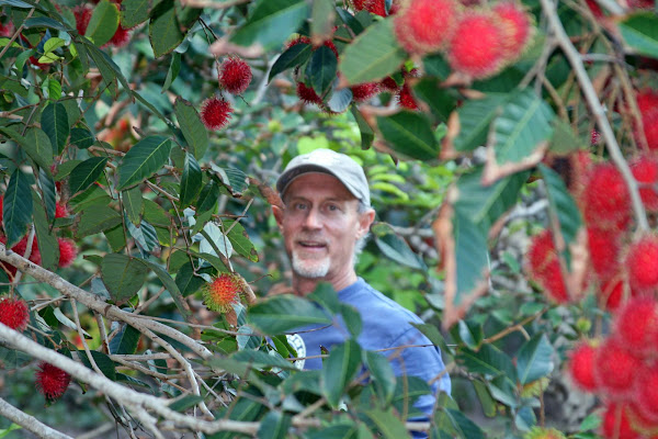 Bill enjoying the fruit