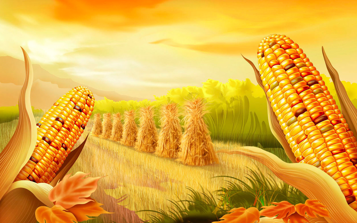 http://2.bp.blogspot.com/_3_-A45YgzHc/TOUSpGwqTOI/AAAAAAAAAFM/eWtv_8ICBHY/s1600/thanksgiving-wallpaper-corn-cartoon.jpg