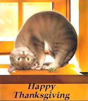 happy thanksgiving kitty mobile background