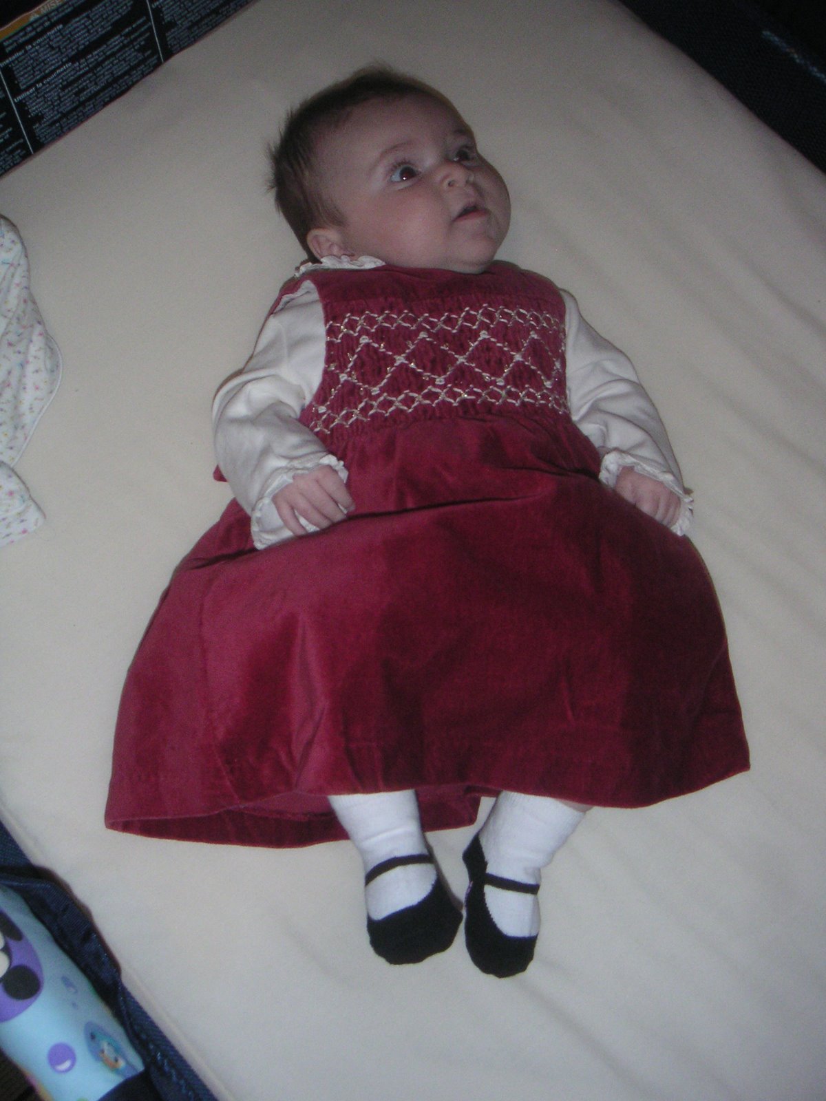 [PICT0035.JPG]
