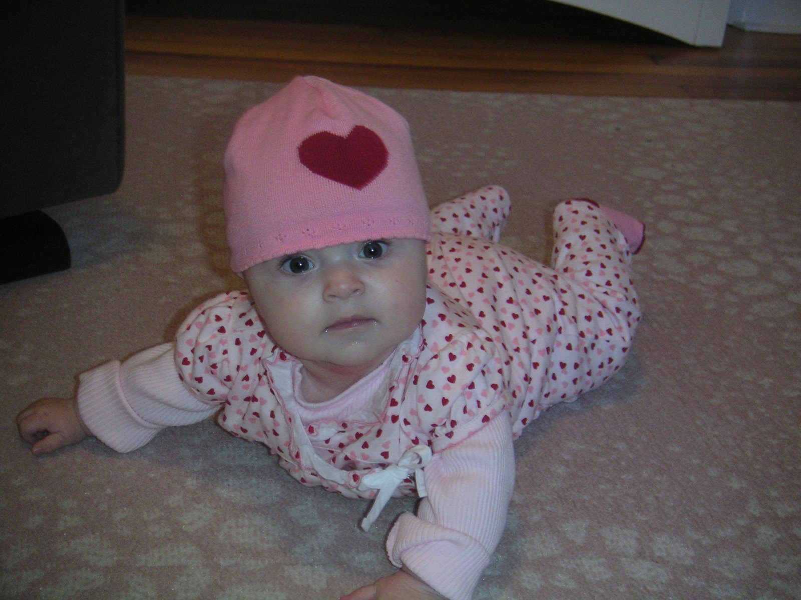 [PICT0006.JPG]