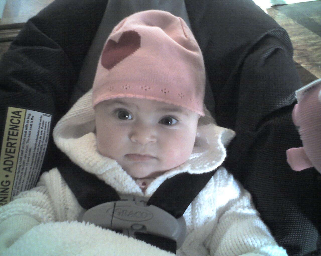 [Photo_021208_002.jpg]