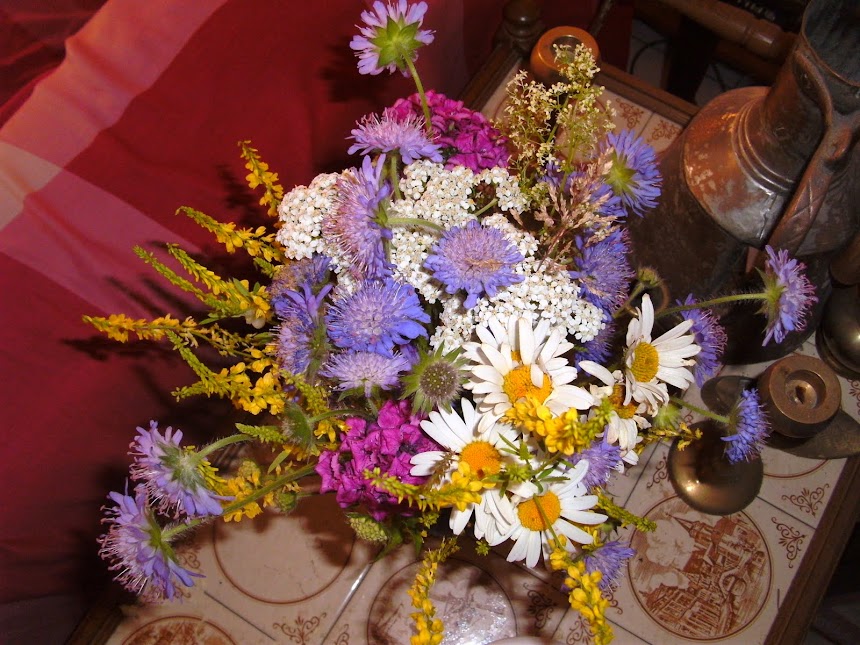 Wildblumen