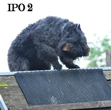 "RCI II" (IPO II)