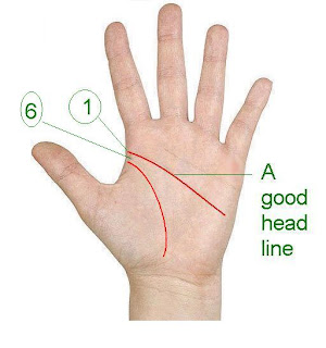 palmistry: Know your Future: Head line and its different signs: part 1