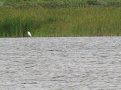 LAGOA DE QUIPARI - 12/06/210