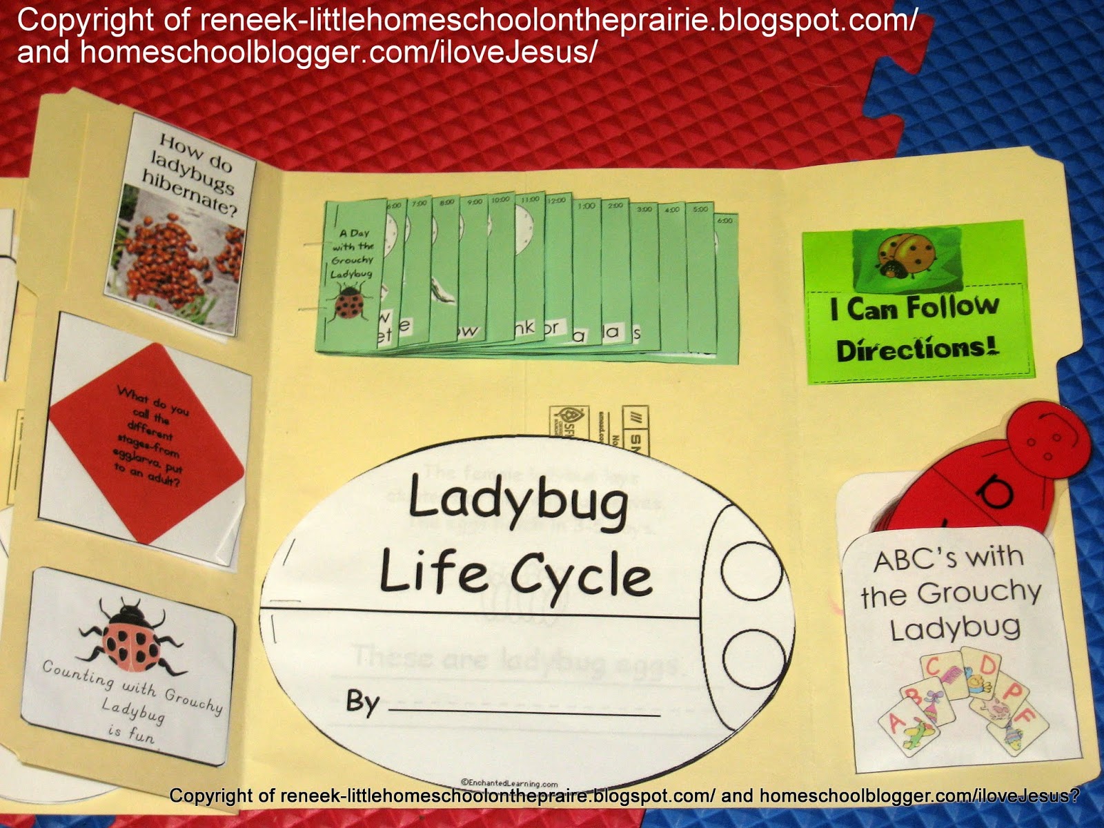 Little Homeschool on the Prairie: Ladybug Lapbook