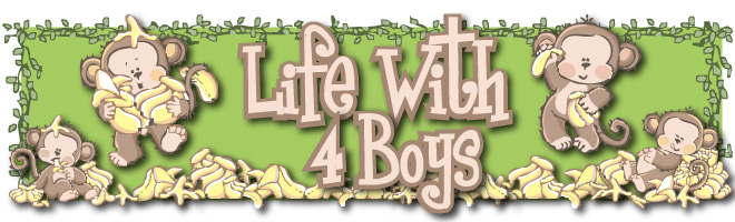 Life with 4 Boys
