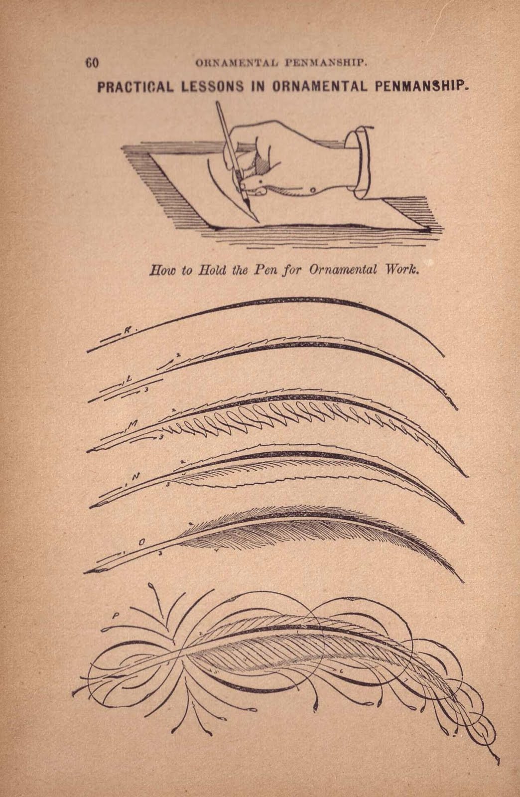 Penpanship she moves the furniture: Art: Penmanship Drawings