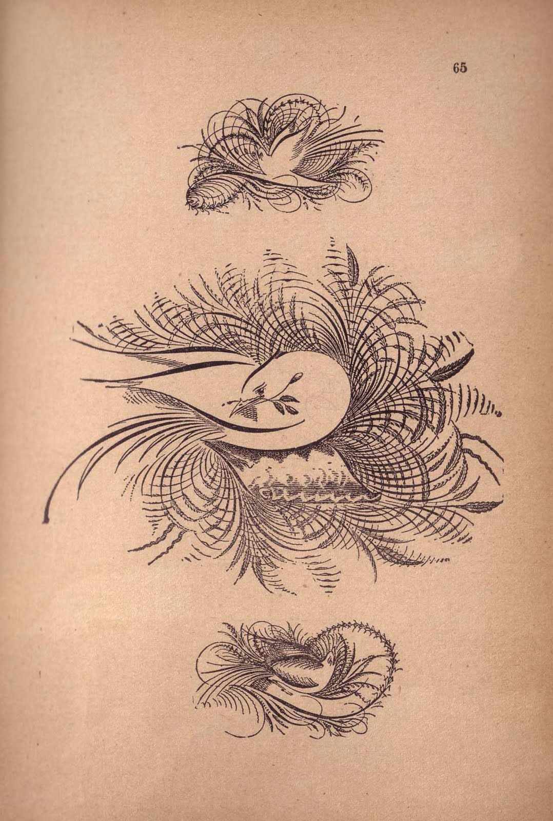 She Moves The Furniture Art Penmanship Drawings