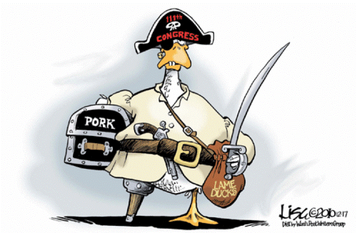 День хромой утки День хромой утки