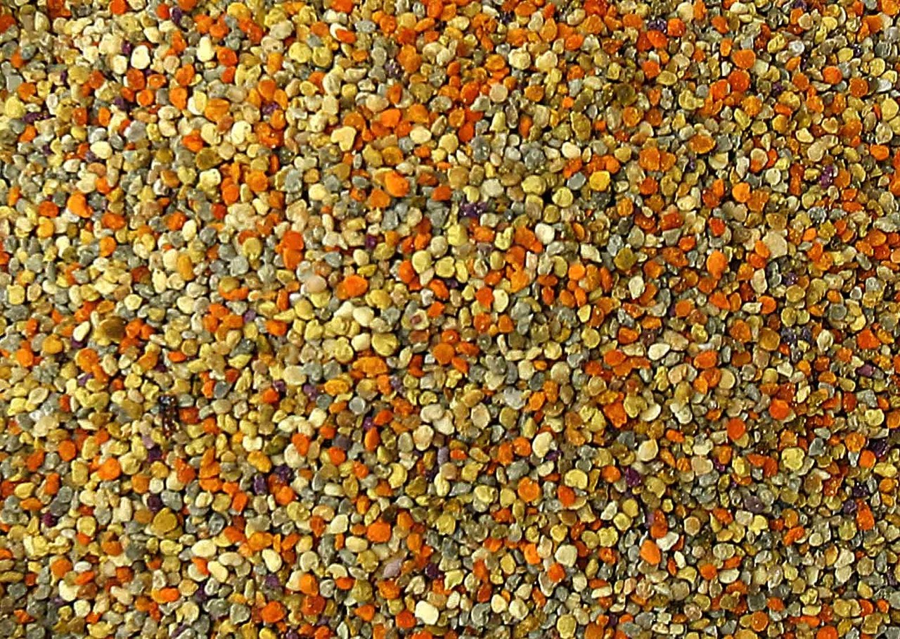 bee pollen bee pollen