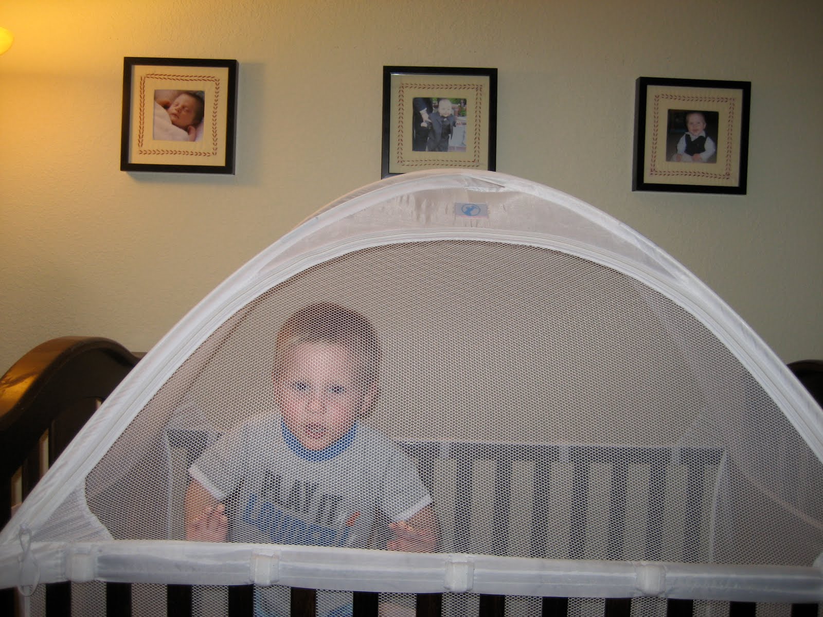 The K&K Report Crib Tent!