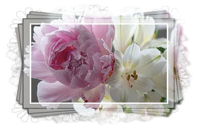 CHAMY.AT // BE HAPPY BE CHARMING: Freut ihr euch über Schnittblumen?!