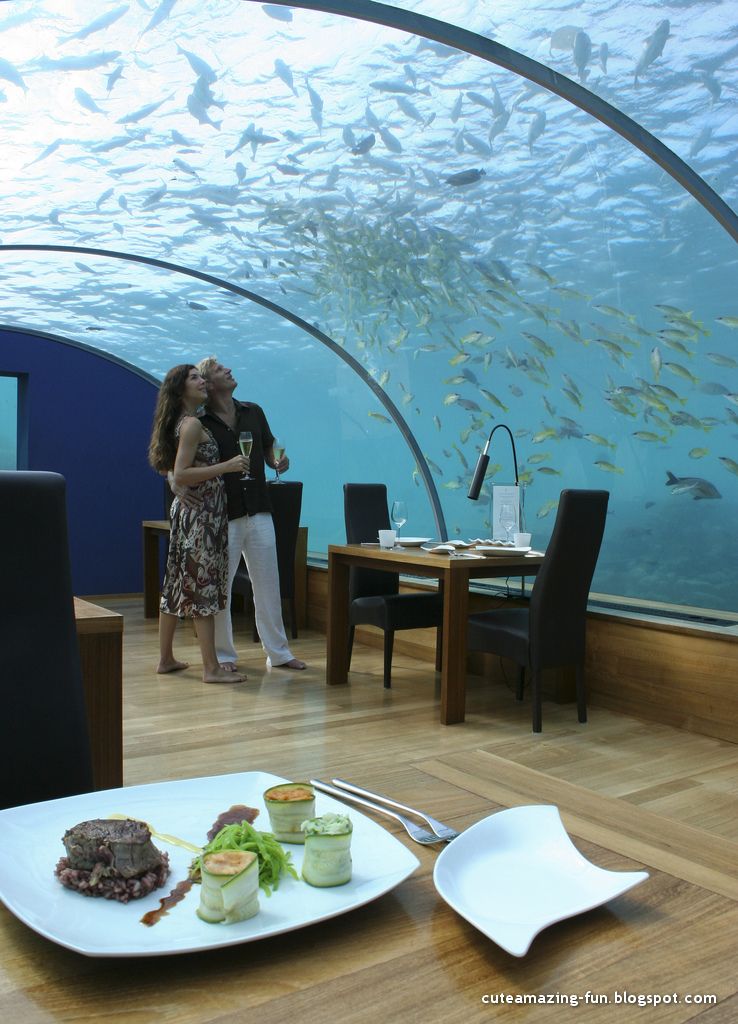 Ресторан ithaa Ресторан ithaa