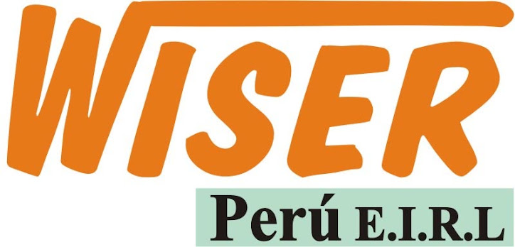 Wiser Perú EIRL.