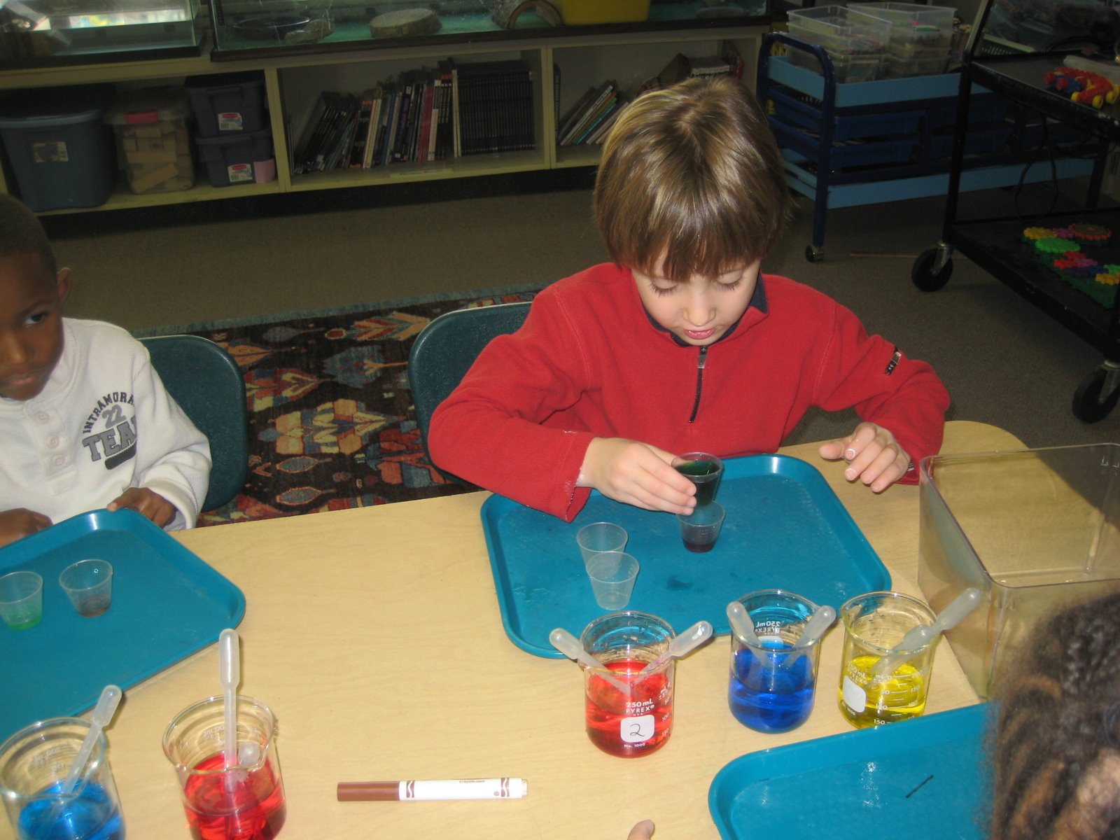 AFS Lower School Science: Kindergarten Color Chemistry