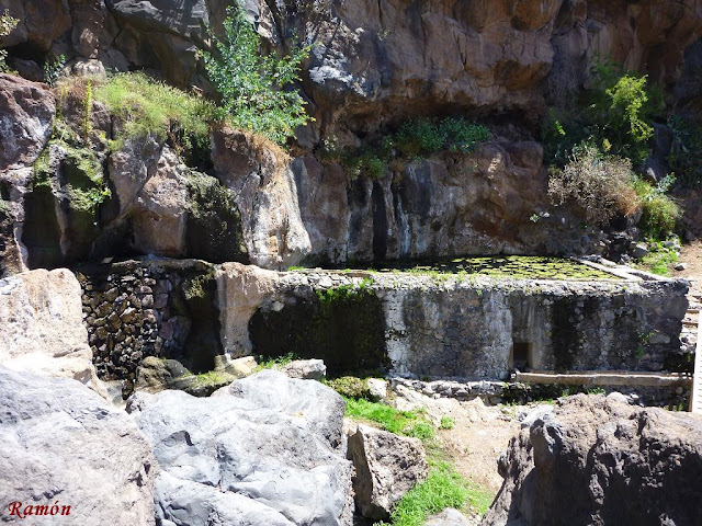 Foto de Fuente Tamaide en San Miguel de Abona, Santa Cruz de Tenerife