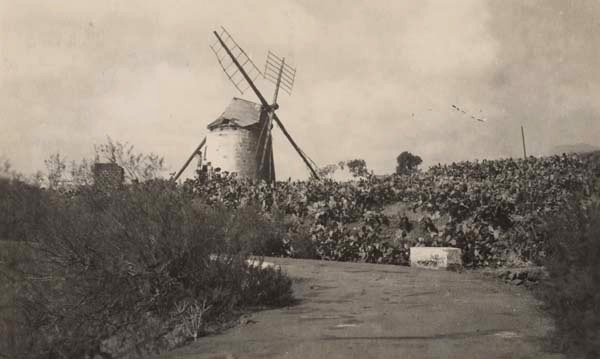 RECUERDOS DEL PASADO: ANTIGUO MOLINO DE VIENTO DE CUEVAS BLANCAS