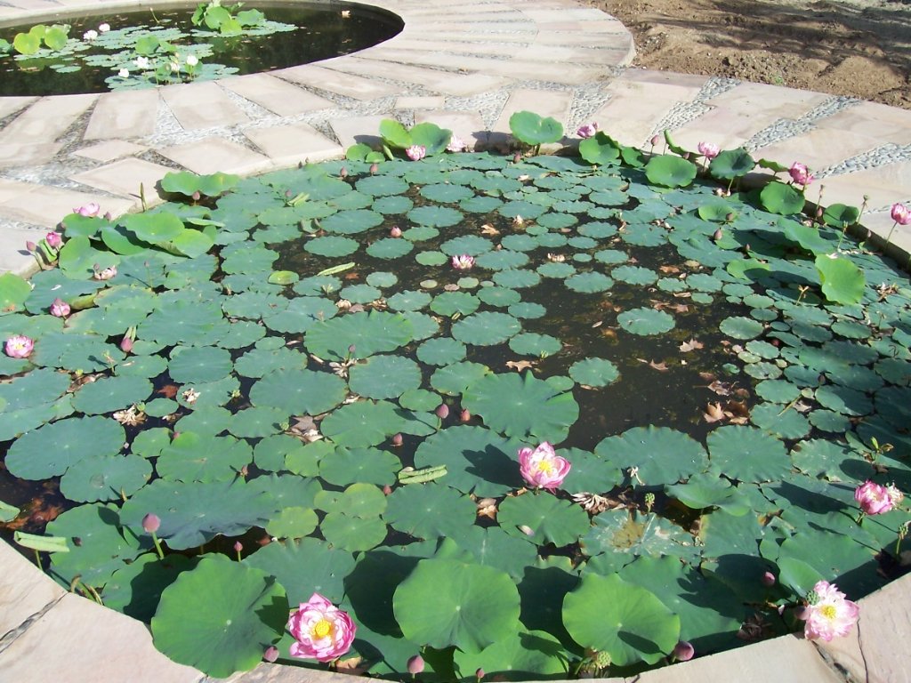 [100_2422_1024x768.jpg]