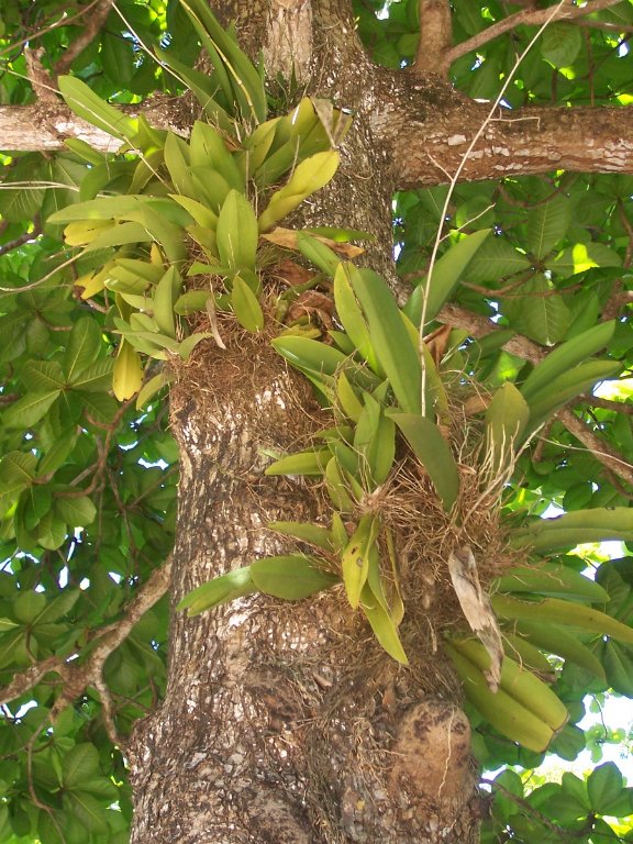 [Juanjo--Cuba+144_576x768.jpg]