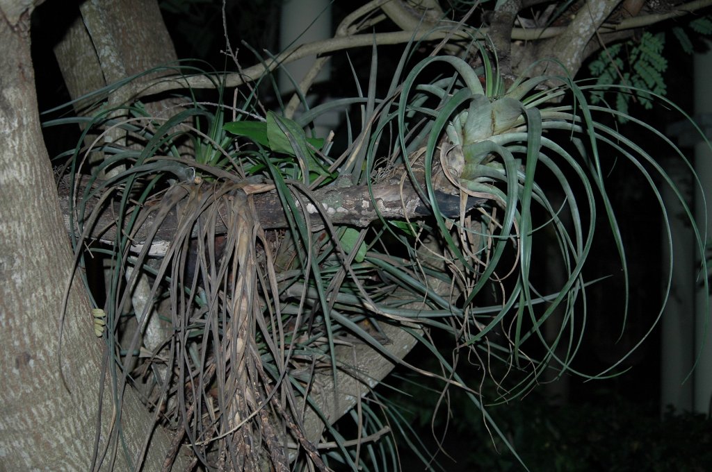 [DSC_2504_1024x680.jpg]