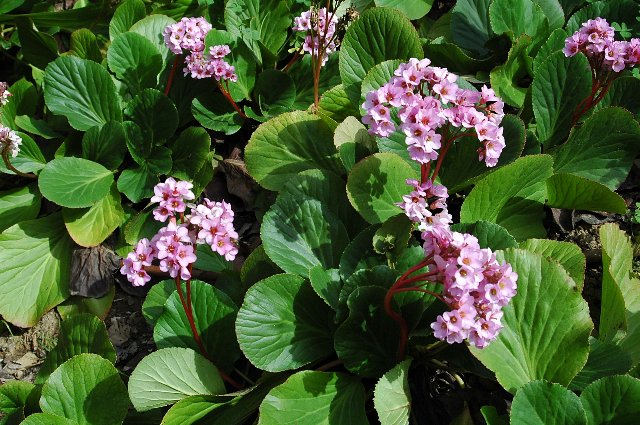 [DSC_7779_640x425.jpg]