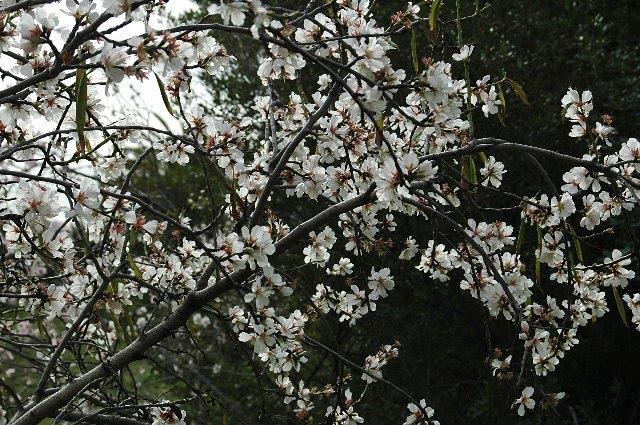 [DSC_7937_640x425.jpg]