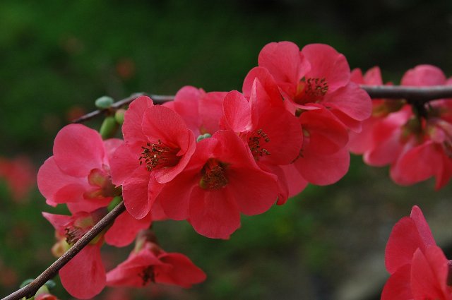 [DSC_7759_640x425.jpg]