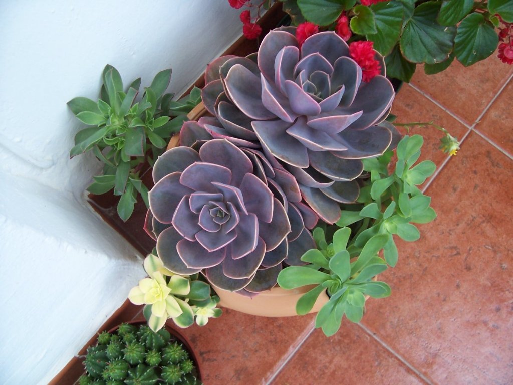 [31-X-05+309_1024x768.jpg]