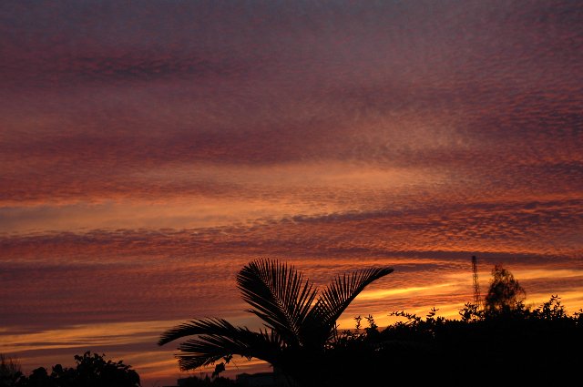 [DSC_7970_640x425.jpg]