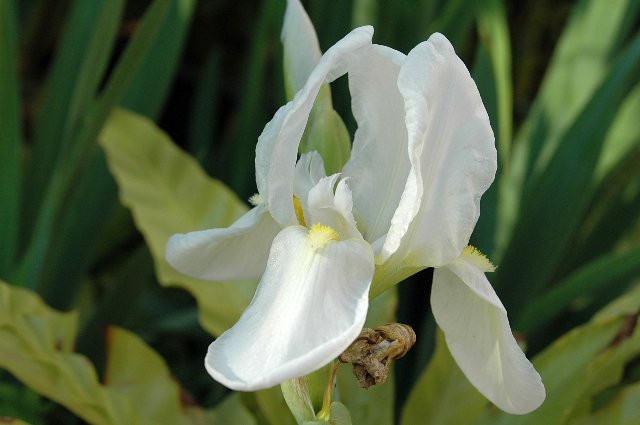 [DSC_9024_640x425.jpg]