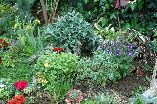 [DSC_9065_640x425.jpg]