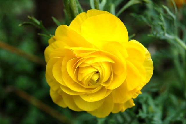 [DSC_9048_640x425.jpg]