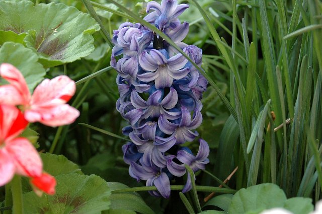 [DSC_9026_640x425.jpg]