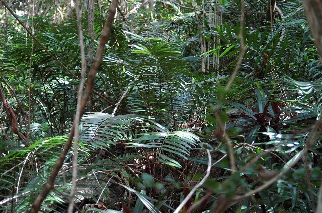 [RP+2010+(627)_640x425.jpg]