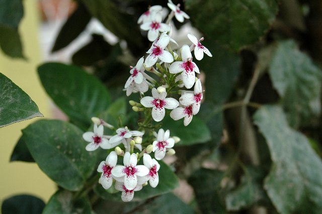 [RP+2010+(712)_640x425.jpg]