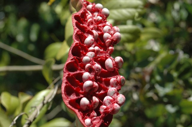 [RP+2010+(65)_640x425.jpg]