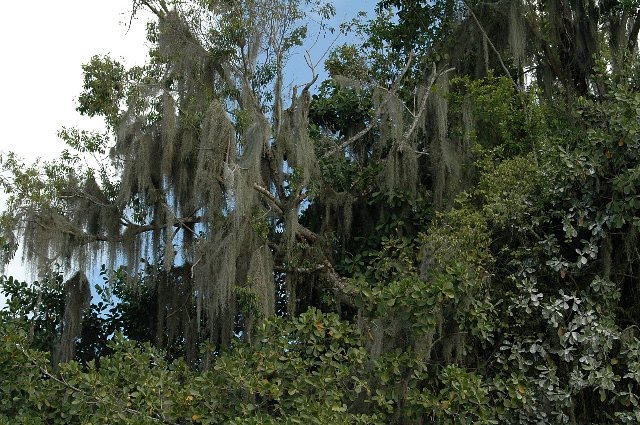 [RP+2010+(538)_640x425.jpg]