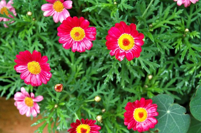 [DSC_8981_640x425.jpg]