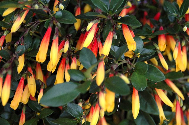 [DSC_8956_640x425.jpg]