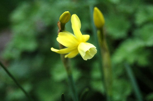 [DSC_9013_640x425.jpg]