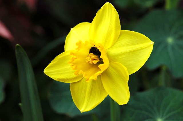 [DSC_9107_640x425.jpg]