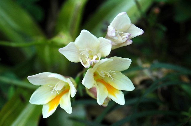 [DSC_9135_640x425.jpg]